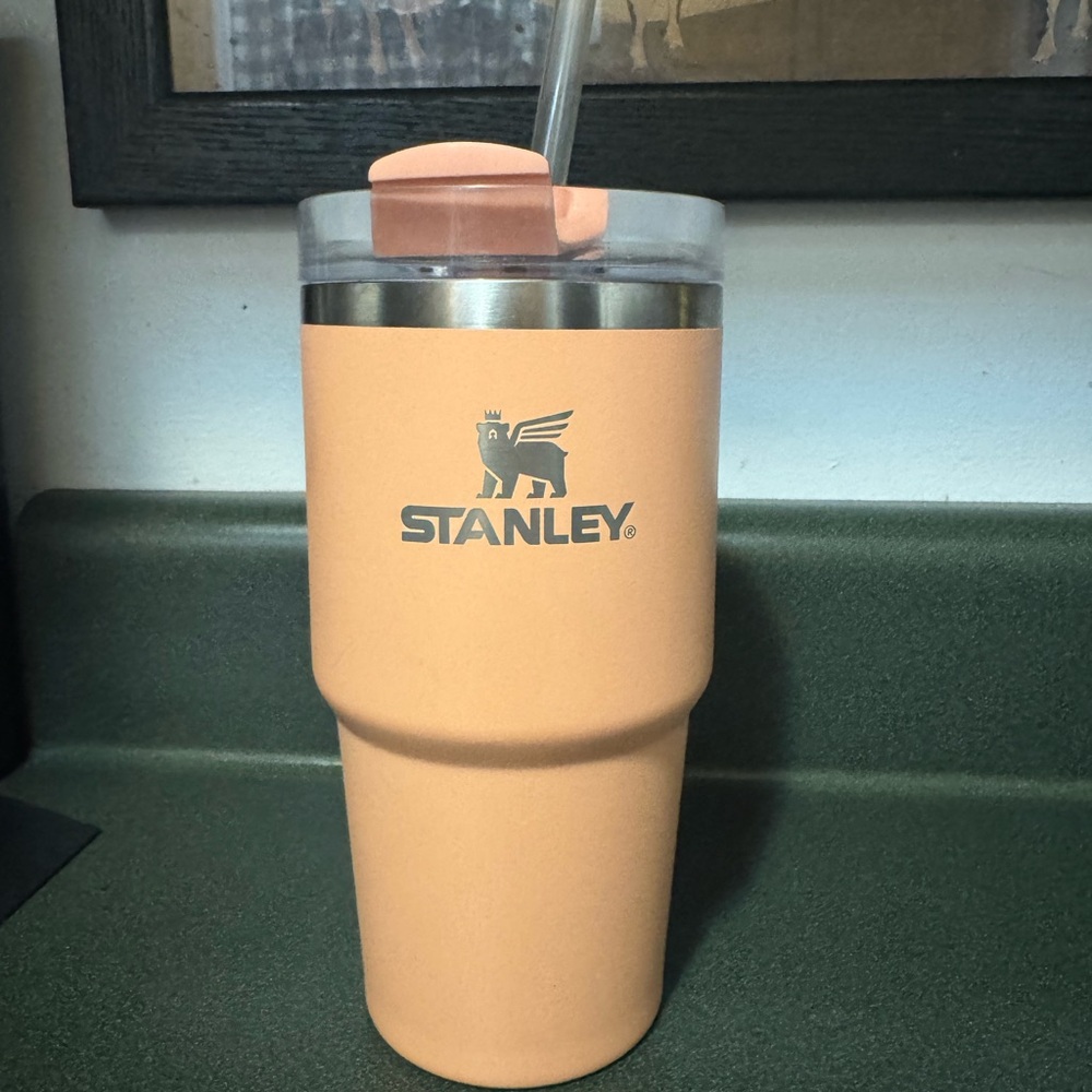 Stanley cup 20oz in Melon